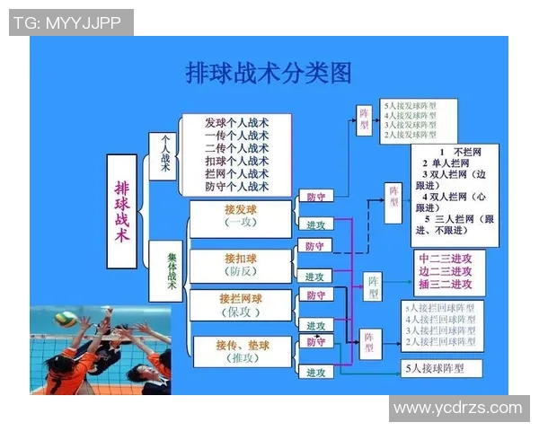 西安排球队的节奏打法深度分析与战术解读 西安排球队的节奏打法深度分析与战术解读