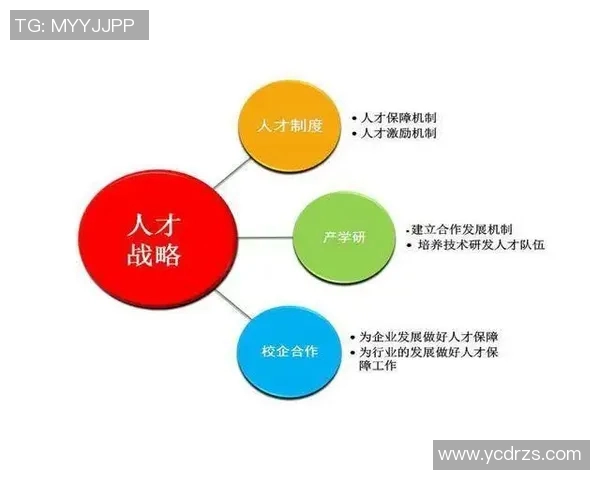 北京攀岩队协作技巧分析与团队配合策略探讨