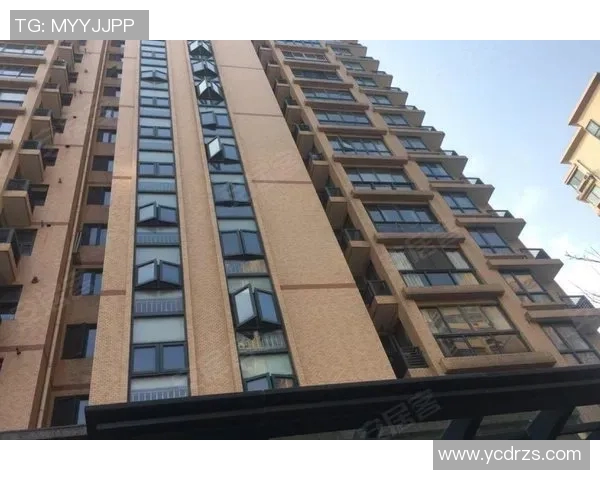 上海飞盘队在攀岩联赛中的节奏表现分析与点评