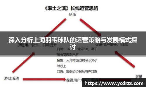 深入分析上海羽毛球队的运营策略与发展模式探讨