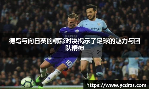 德岛与向日葵的精彩对决揭示了足球的魅力与团队精神