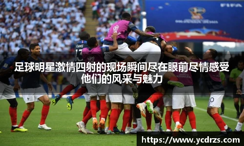 星空综合股份(中国)